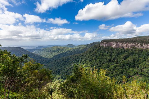 Natural Bridge & Springbrook Waterfalls Tour - Maitland Accommodation 1