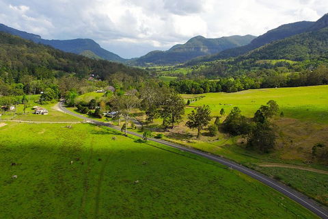 Natural Bridge & Springbrook Waterfalls Tour - Maitland Accommodation 2