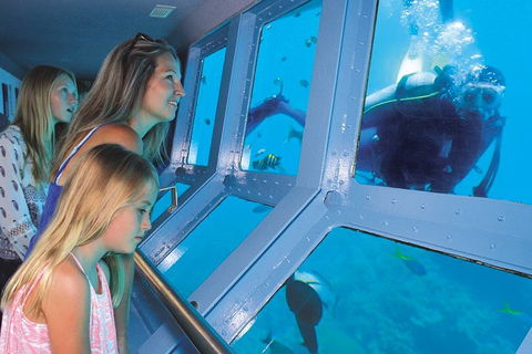 Quicksilver Outer Great Barrier Reef Snorkel Cruise From Port Douglas - Maitland Accommodation 1