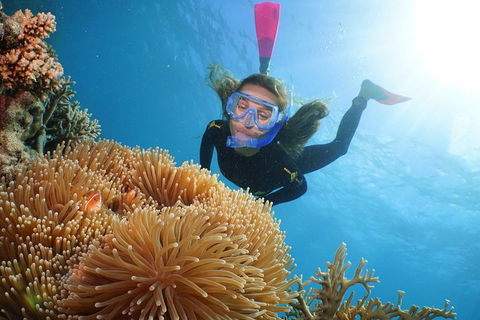 Quicksilver Outer Great Barrier Reef Snorkel Cruise From Port Douglas - Maitland Accommodation 2
