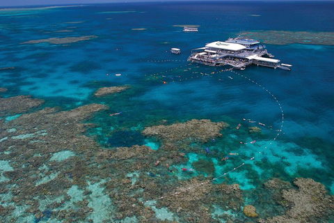 Quicksilver Outer Great Barrier Reef Snorkel Cruise From Port Douglas - Maitland Accommodation 3
