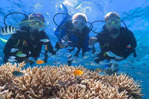 Quicksilver Outer Great Barrier Reef Snorkel Cruise From Port Douglas - Maitland Accommodation 4