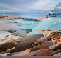 Wineglass Bay Private Charter Service - Maitland Accommodation