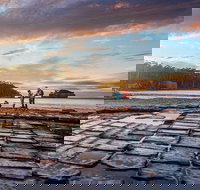 Port Arthur Private Charter Service - Maitland Accommodation