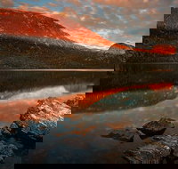 Cradle Mountain Private Charter Service - Maitland Accommodation