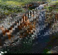 7 Days Darwin Kakadu National Park Katherine Gorge Touring Package - Maitland Accommodation