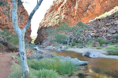 Alice Springs, Uluru Ayers Rock & Kings Canyon 8 Days Touring Package - Maitland Accommodation 2