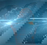 Great Opera Hits at the Sydney Opera House - Maitland Accommodation