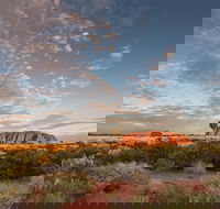 Uluru Kata Tjuta and Kings Canyon Camping Safari from Alice Springs - Maitland Accommodation