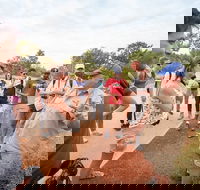 Uluru Kata Tjuta and Kings Canyon Camping Safari from Ayers Rock - Maitland Accommodation