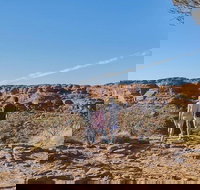 The Amazing Kings Canyon 4-Hours Walking Tour and Hike - Maitland Accommodation