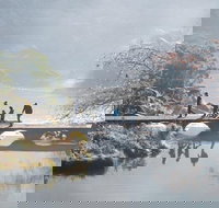 3.5 Hours Walking Tour to Cataract Gorge with Local Guide - Maitland Accommodation