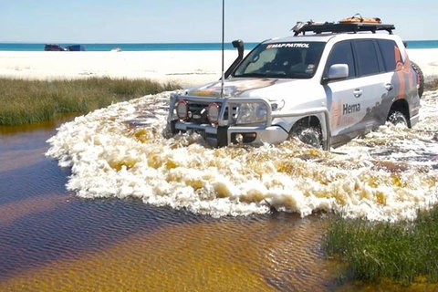 Full-Day Moreton Island 4x4 Sightseeing Tour - Maitland Accommodation 0