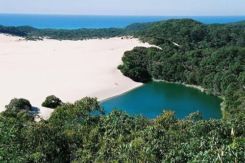 Full-Day Moreton Island 4x4 Sightseeing Tour - Maitland Accommodation 5