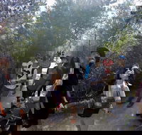 Active Day Tour One-Way from Launceston to Hobart via Wineglass Bay - Maitland Accommodation