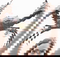 The Ultimate Gold Coast Attractions Pass - Maitland Accommodation