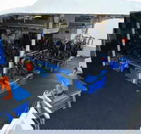 Silverswift Outer Great Barrier Reef Dive and Snorkel Cruise from Cairns - Maitland Accommodation