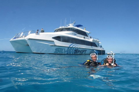 Silverswift Outer Great Barrier Reef Dive And Snorkel Cruise From Cairns - Maitland Accommodation 4