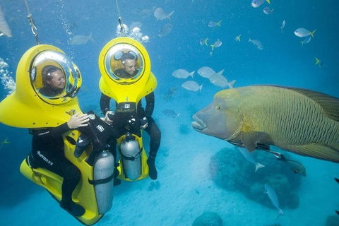 Great Barrier Reef Adventure From Cairns - Maitland Accommodation 2