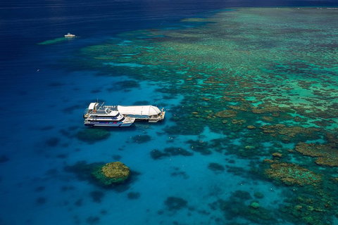 Great Barrier Reef Adventure From Cairns - Maitland Accommodation 4
