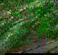 Green Island Eco Adventure from Cairns - Maitland Accommodation