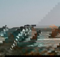 Half-Day or Full-Day Tour with Private Guide from Melbourne - Maitland Accommodation