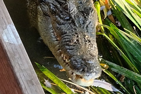 Litchfield Park Adventures And Jumping Crocodile Cruise + Butterfly Farm - Maitland Accommodation 1