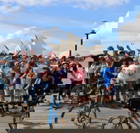 Sydney Bike Tours - Maitland Accommodation