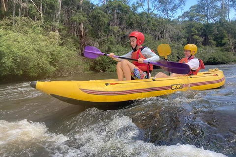 Yarra River Half-Day Rafting Experience - Maitland Accommodation 1