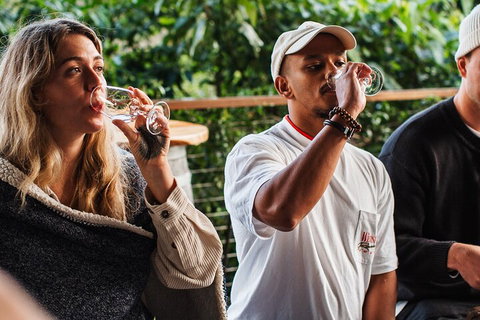 Full-Day Tour To Byron Bay Best Food And Drink Spots - Maitland Accommodation 1