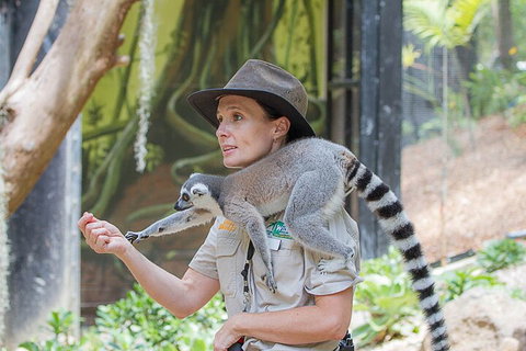 Currumbin Wildlife Sanctuary General Entry Ticket - Maitland Accommodation 1