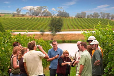 Yarra Valley Wine And Winery Tour From Melbourne - Maitland Accommodation 0