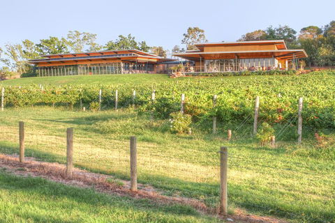 Yarra Valley Wine And Winery Tour From Melbourne - Maitland Accommodation 1