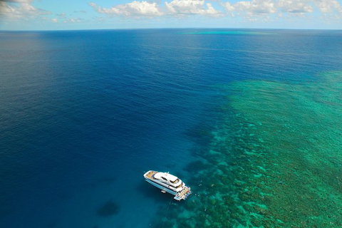 Great Barrier Reef Snorkeling And Diving Cruise From Cairns - Maitland Accommodation 4
