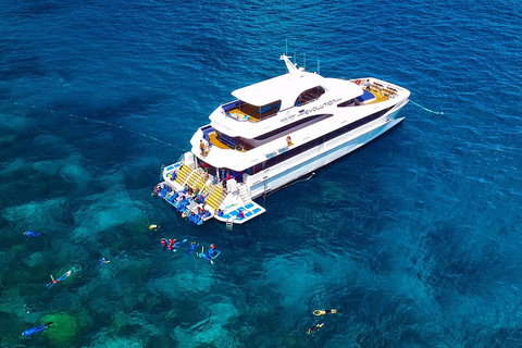 Great Barrier Reef Snorkeling And Diving Cruise From Cairns - Maitland Accommodation 5