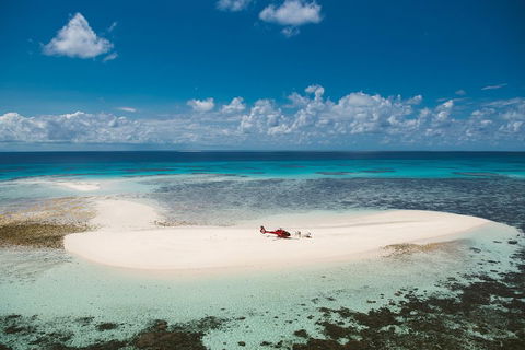 Private Helicopter Tour: Reef Island Snorkeling And Gourmet Picnic Lunch - Maitland Accommodation 4