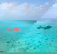 Port Douglas Scenic Flights - Maitland Accommodation