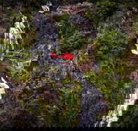 Ultimate Great Barrier Reef and Rainforest 45-minute Helicopter Tour - Maitland Accommodation