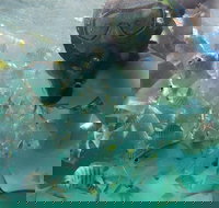 2-Day Moreton Island 4WD Camping Tour from Brisbane - Maitland Accommodation