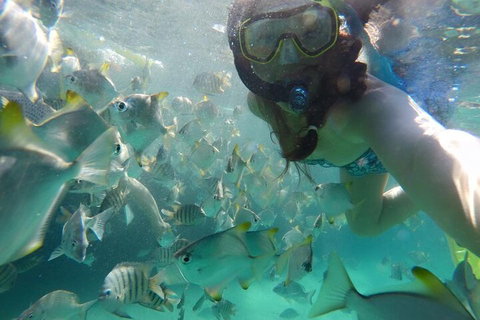 Moreton Island Snorkel And Sandboarding 4WD Day Trip From Brisbane - Maitland Accommodation 3