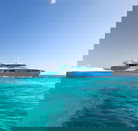 Rottnest Island All-Inclusive Grand Island Tour from Fremantle - Maitland Accommodation