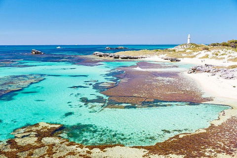 Rottnest Island Bike & Ferry Package From Fremantle - Maitland Accommodation 5