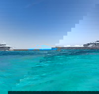 Rottnest Island Fortress Adventure Segway Package from Fremantle - Maitland Accommodation