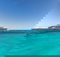 Rottnest Island Bayseeker Day Trip from Perth - Maitland Accommodation