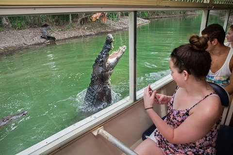 Hartley's Crocodile Adventures Day Trip From Cairns - Maitland Accommodation 3