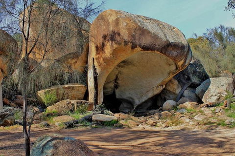 Wave Rock Half Day Air & Ground Tour - Maitland Accommodation 1