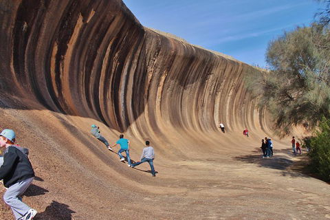 Wave Rock Half Day Air & Ground Tour - Maitland Accommodation 2