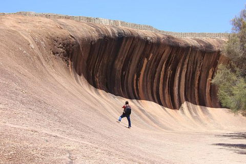 Wave Rock Half Day Air & Ground Tour - Maitland Accommodation 3