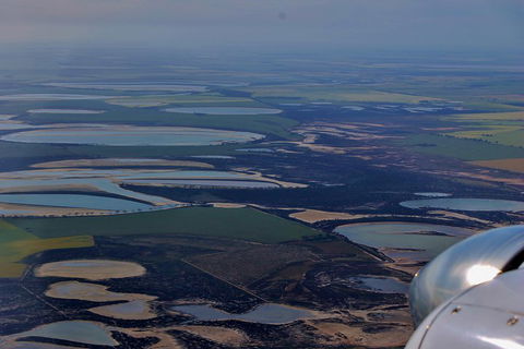 Wave Rock Half Day Air & Ground Tour - Maitland Accommodation 4