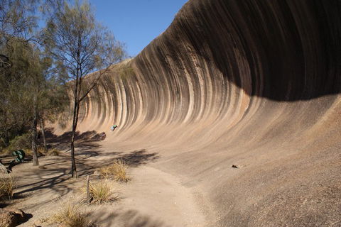 Wave Rock Half Day Air & Ground Tour - Maitland Accommodation 5